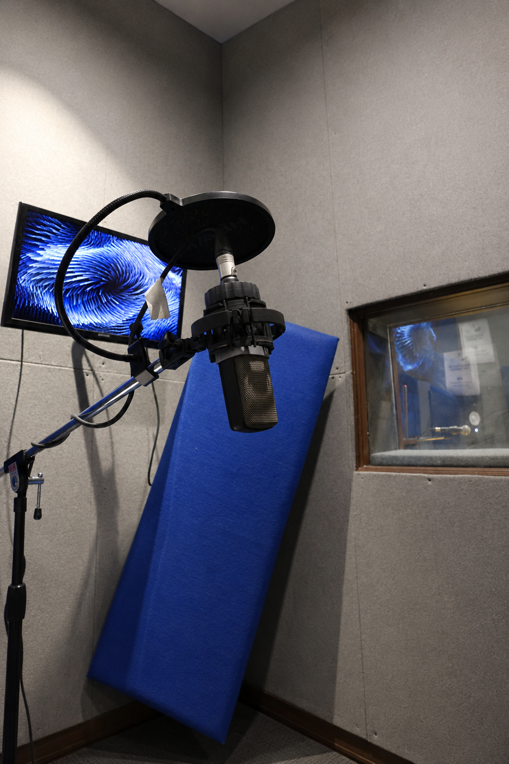 Studio Microphone