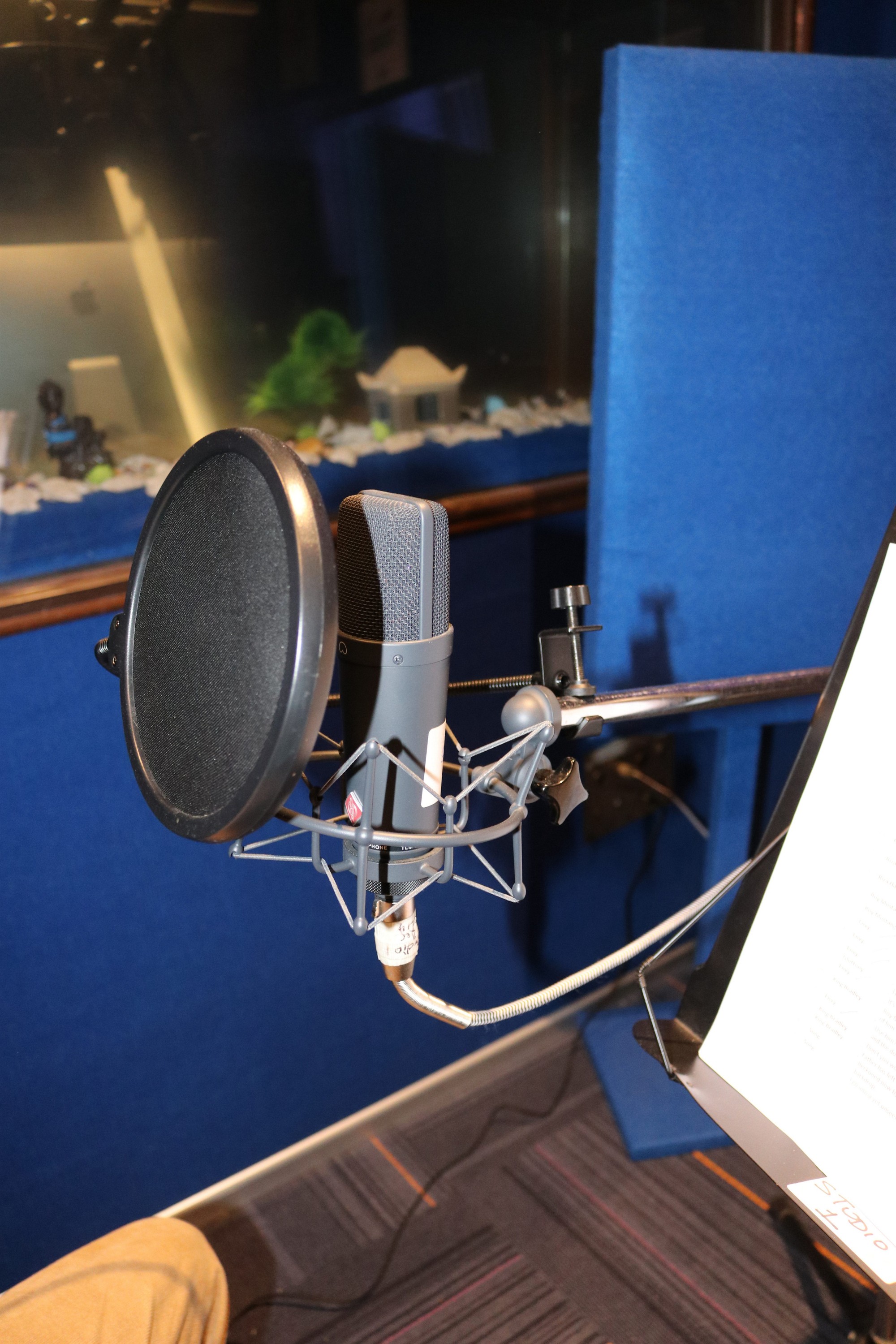 Studio Microphone